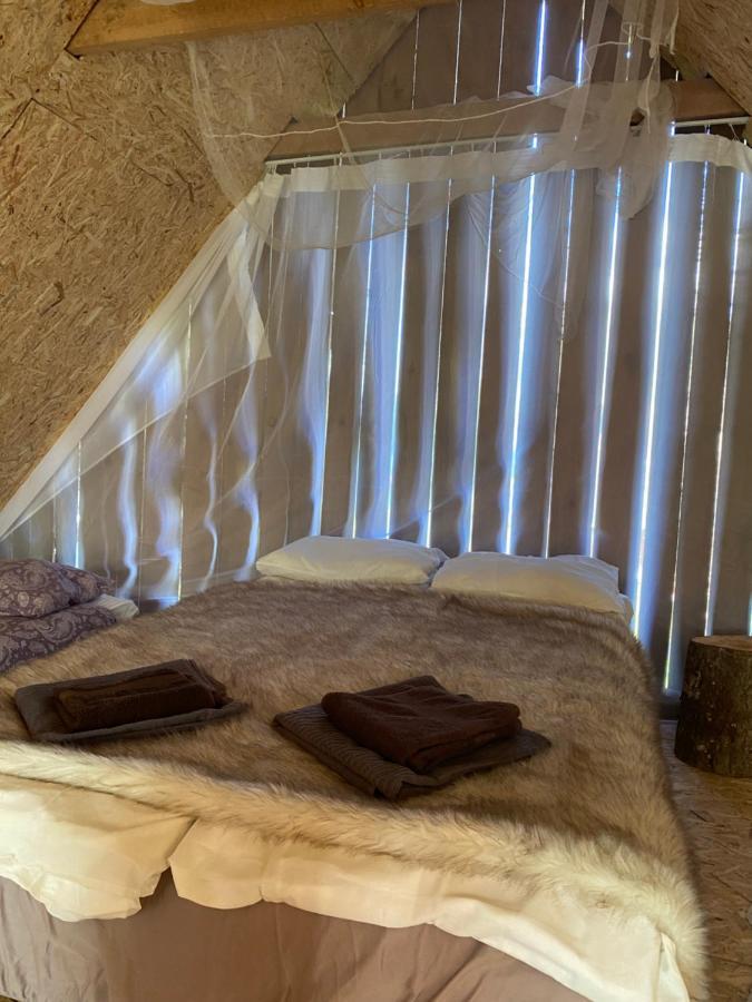 Ahijarve Karula Stay Sauna House In Karula National Park المظهر الخارجي الصورة